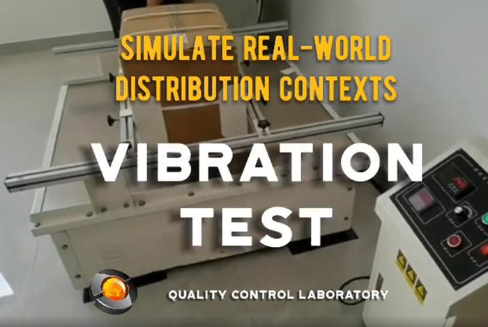 Vibration Test
